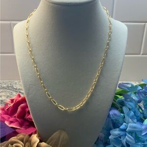 BRAND NEW. Nordstrom 14k gold over silver, oval Link Necklace.